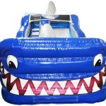 Shark Front view 1